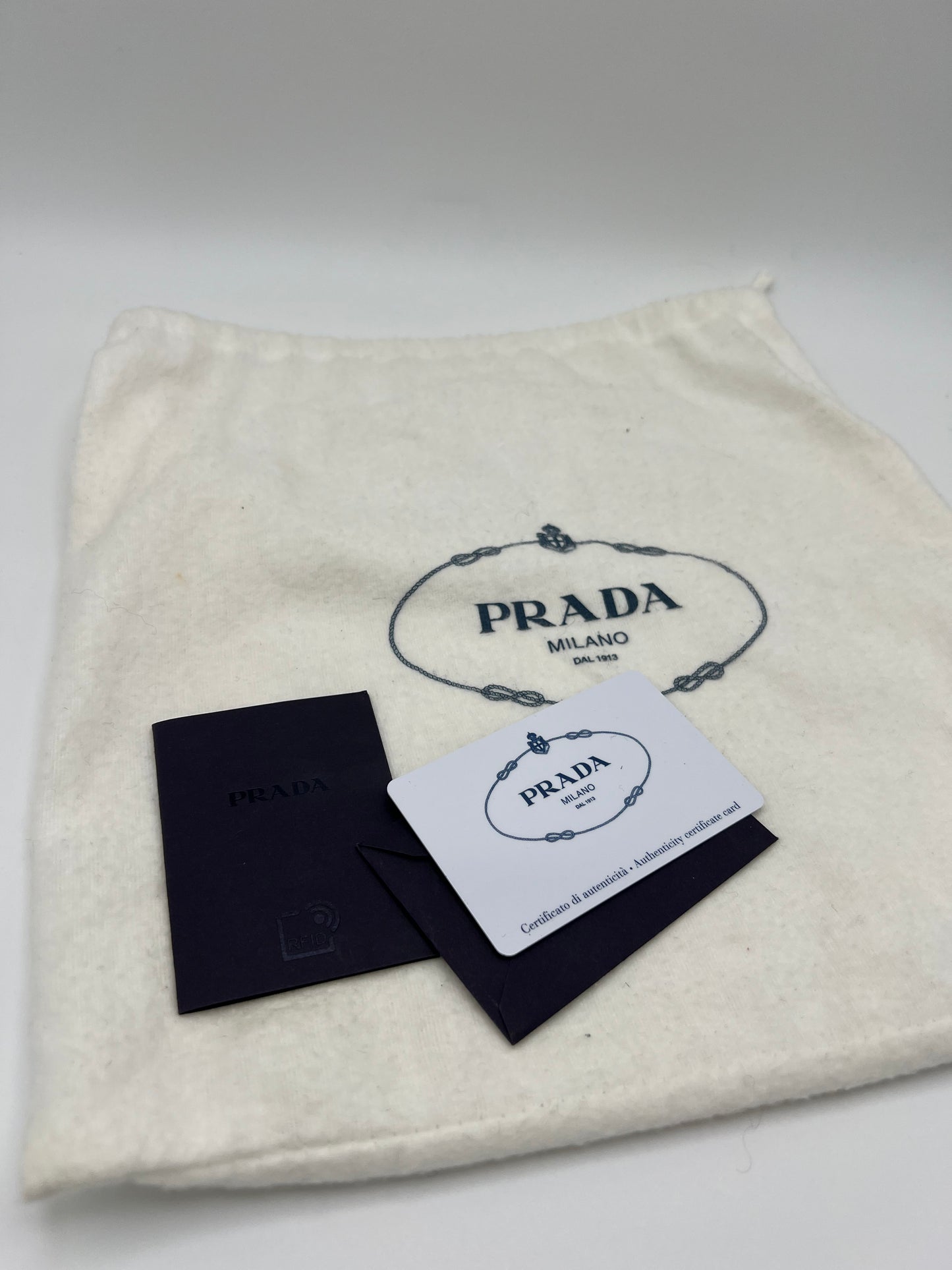 Prada Re-Edition 2000